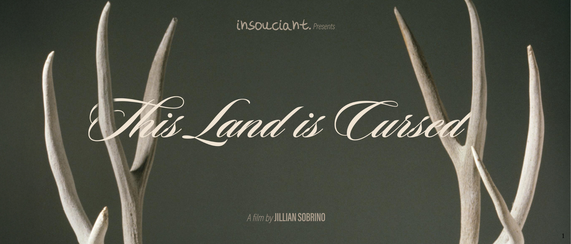 洋楽 Decollation/cursed land 洋楽 1078_in_1000x1000.jpg land Decollation/cursed 洋楽